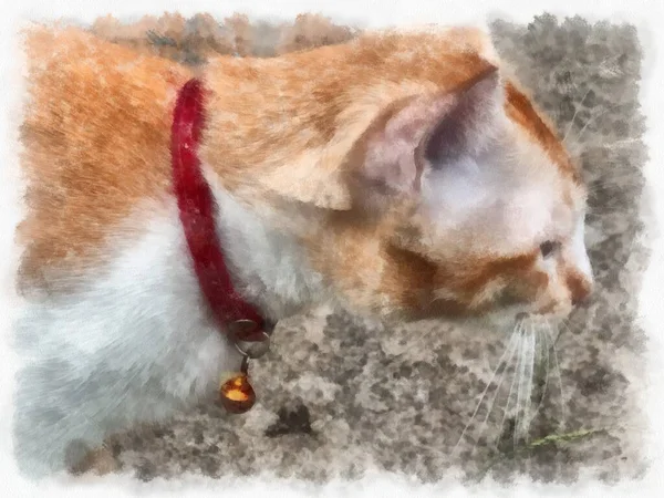 Kucing Oranye Putih Rumput Gaya Cat Air Lukisan Impresionis — Stok Foto