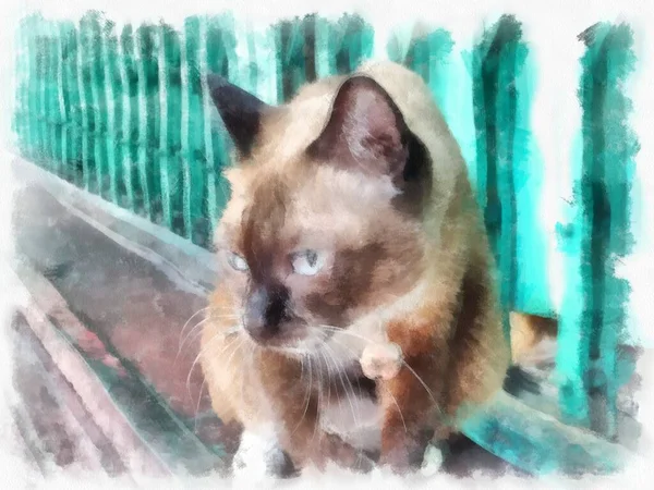 Roan Cat Cat Cat Air Gaya Ilustrasi Impresionis Lukisan — Stok Foto