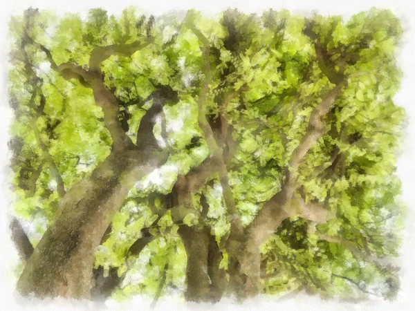 树枝灌木丛水彩画印象派绘画 — 图库照片