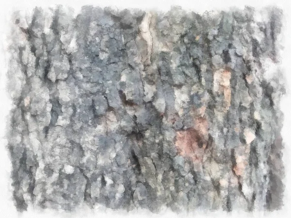 Bark Tree Watercolor Style Illustration Impressionist Painting — 스톡 사진
