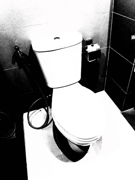 White Toilet Bathroom Black White Illustration — Foto de Stock