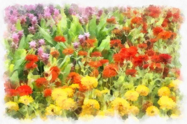 Landscape Field Brightly Colored Flowers Watercolor Style Illustration Impressionist Painting — Stock Photo, Image