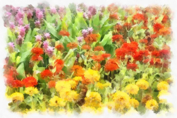 Landscape Field Brightly Colored Flowers Watercolor Style Illustration Impressionist Painting — Stockfoto