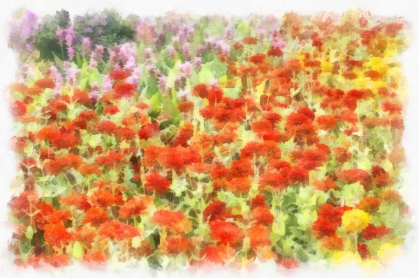 Landscape Field Brightly Colored Flowers Watercolor Style Illustration Impressionist Painting — 图库照片