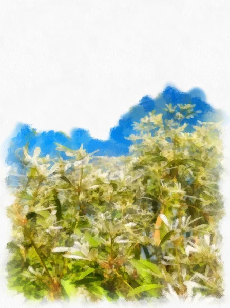 Bushes Inflorescences Watercolor Style Illustration Impressionist Painting — 스톡 사진