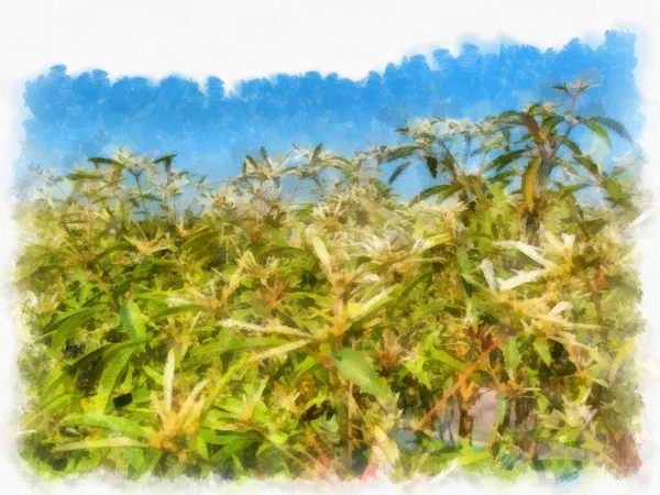 Arbustos Inflorescências Aquarela Estilo Ilustração Impressionista Pintura — Fotografia de Stock