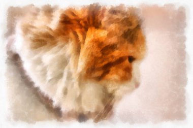 Çeşitli şirin kedi pozları suluboya resim empresyonisti.