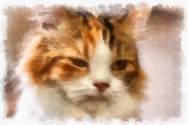 Cats Various Cute Poses Watercolor Style Illustration Impressionist Painting — 图库照片