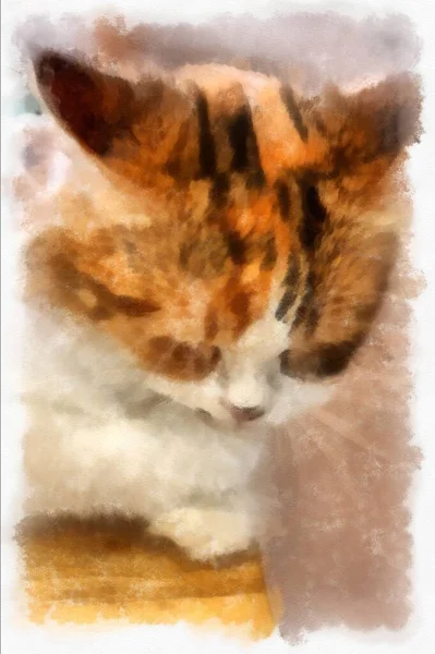 Cats Various Cute Poses Watercolor Style Illustration Impressionist Painting — Stock Photo, Image