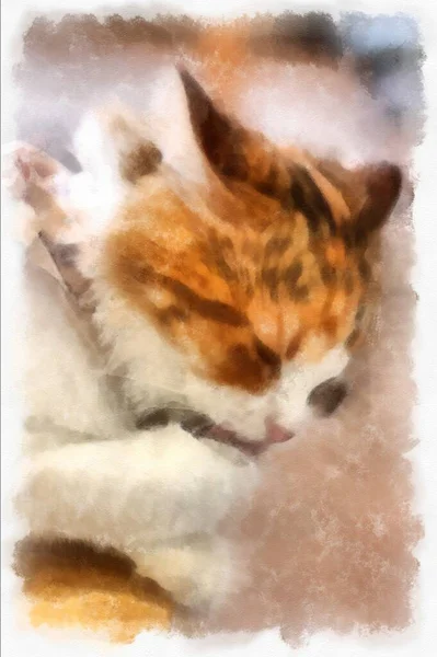 Cats Various Cute Poses Watercolor Style Illustration Impressionist Painting — Photo
