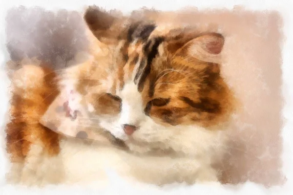 Cats Various Cute Poses Watercolor Style Illustration Impressionist Painting — Stock fotografie