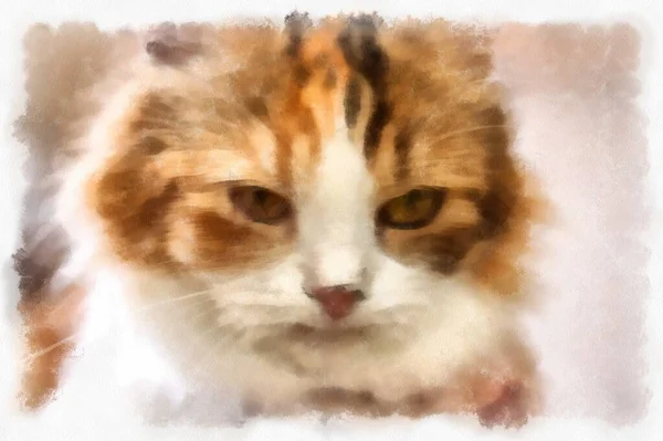 Cats Various Cute Poses Watercolor Style Illustration Impressionist Painting — Foto Stock