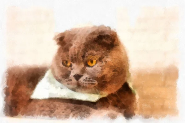Koty Różnych Uroczych Pozach Akwarela Styl Ilustracji Impresjonista Malarstwo — Zdjęcie stockowe