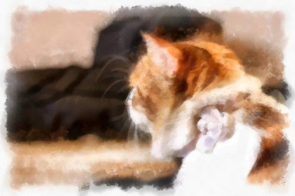 Cats Various Cute Poses Watercolor Style Illustration Impressionist Painting — 图库照片