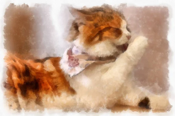 Cats Various Cute Poses Watercolor Style Illustration Impressionist Painting — Foto de Stock