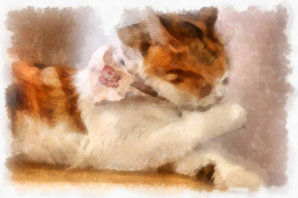 Cats Various Cute Poses Watercolor Style Illustration Impressionist Painting — стоковое фото