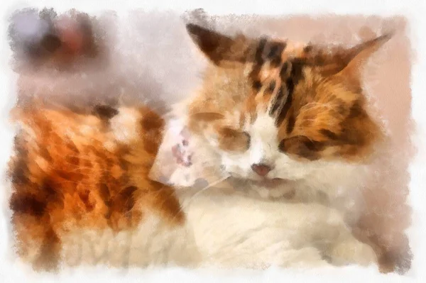 Cats Various Cute Poses Watercolor Style Illustration Impressionist Painting — Foto Stock