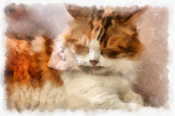 Cats Various Cute Poses Watercolor Style Illustration Impressionist Painting — 스톡 사진