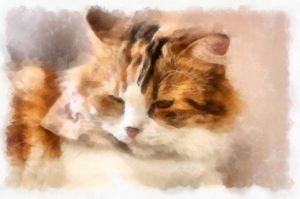 Cats Various Cute Poses Watercolor Style Illustration Impressionist Painting — стоковое фото