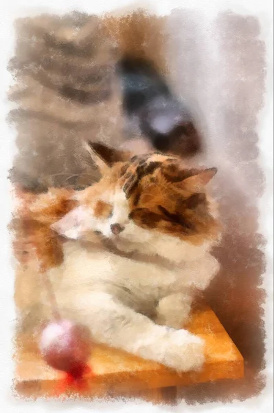 Cats Various Cute Poses Watercolor Style Illustration Impressionist Painting — Stock Photo, Image