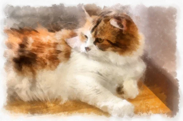 Cats Various Cute Poses Watercolor Style Illustration Impressionist Painting — стоковое фото