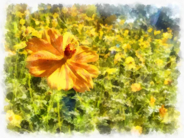 Shrubs Yellow Starburst Flowers Watercolor Style Illustration Impressionist Painting — Stok fotoğraf