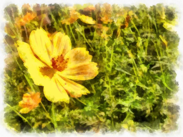 Shrubs Yellow Starburst Flowers Watercolor Style Illustration Impressionist Painting — ストック写真