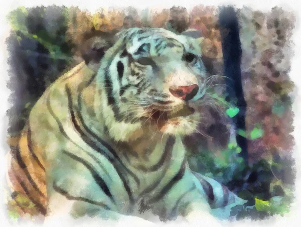 White Tiger Watercolor Style Illustration Impressionist Painting — Stock Photo, Image