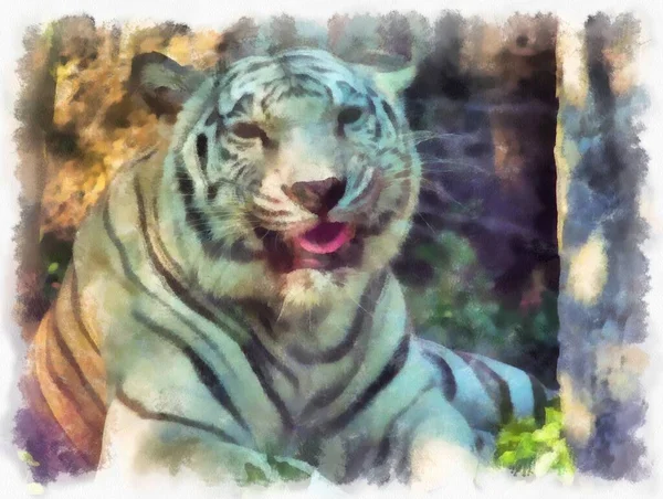 Tigre Blanc Aquarelle Style Illustration Peinture Impressionniste — Photo