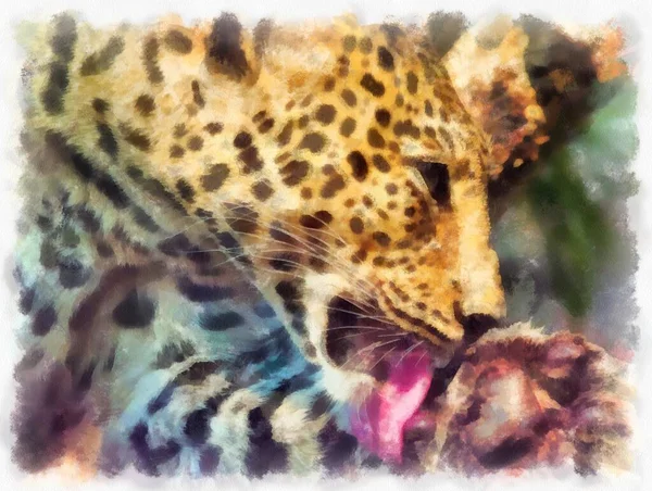 Leopard Watercolor Style Illustration Impressionist Painting — Foto Stock