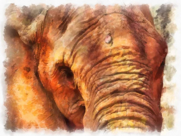 African Elephant Watercolor Style Illustration Impressionist Painting — Fotografia de Stock