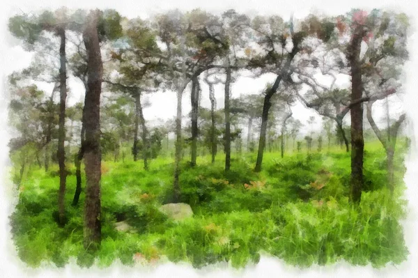 Landscape Mountains Forests Trees Fog Watercolor Style Illustration Impressionist Painting — Fotografia de Stock