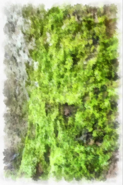 Moss Tree Watercolor Style Illustration Impressionist Painting — 스톡 사진