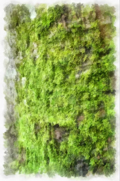 Moss Tree Watercolor Style Illustration Impressionist Painting — 스톡 사진