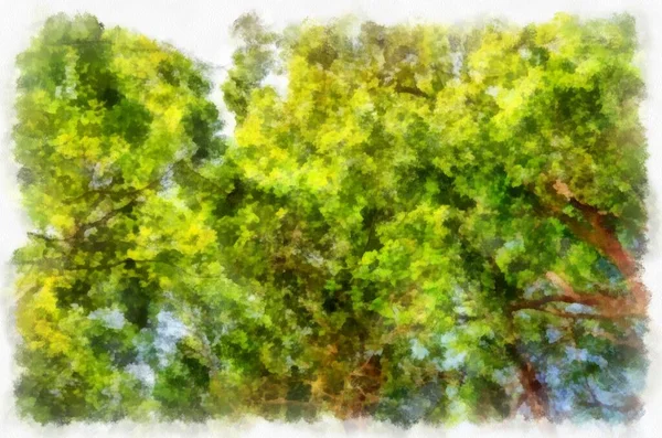 Drzewo Gałęzie Niebo Chmury Akwarela Styl Ilustracja Impresjonistyczne Malarstwo — Zdjęcie stockowe