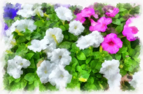 Trumpet Flower Pink White Watercolor Style Illustration Impressionist Painting — Stock Photo, Image