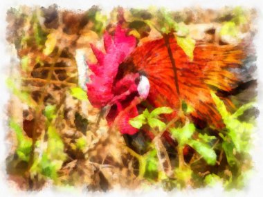 Bantam watercolor style illustration impressionist painting.