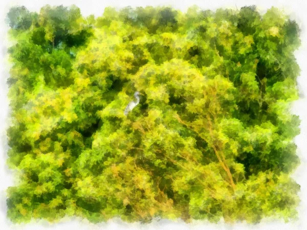 Group Bushes Watercolor Style Illustration Impressionist Painting — Zdjęcie stockowe