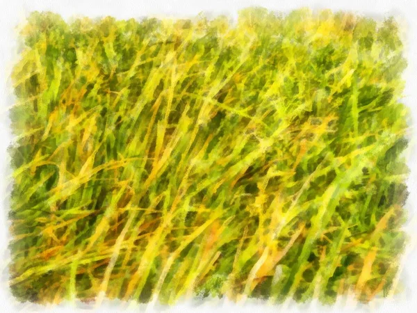 Group Bushes Watercolor Style Illustration Impressionist Painting — Zdjęcie stockowe