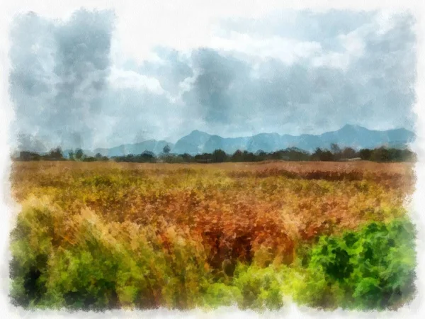 Grassland Landscape Watercolor Style Illustration Impressionist Painting — Stock Photo, Image