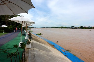 Landscape of the Chao Phraya River in Ayutthaya Province.