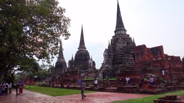 Wat Phra Sanphet Temple Ayutthaya Thailand August 2022 Holiest Temple — Stock video