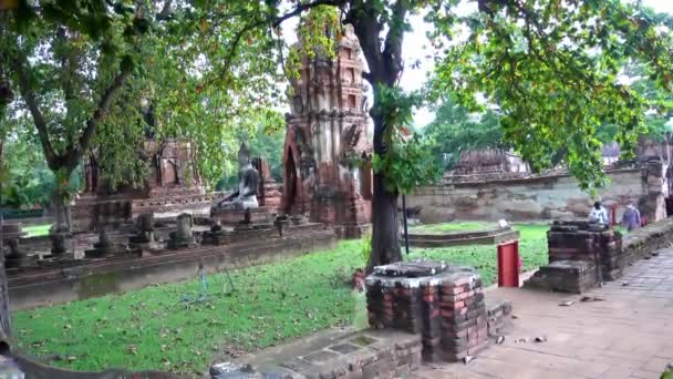 Ayutthaya Thailand August 2022 Wat Mahathat Temple Great Relic Buddhist — Vídeo de Stock