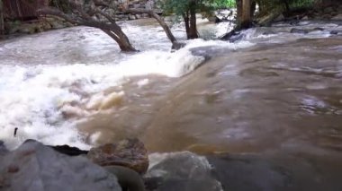 Streams and streams flow like small waterfalls in the forest.
