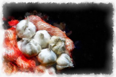 Siyah arka planda sarımsak ve suluboya resim çizimi..