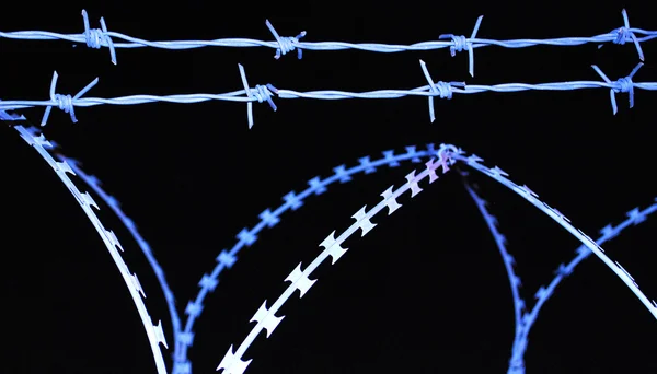 koyu arka plan üzerinde mavimsi dikenli tel