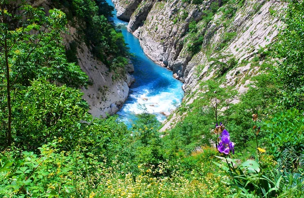 güzel bir turkuaz suları ile dağ nehir manzarası