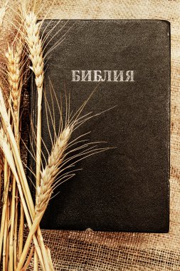 İncil buğday ile