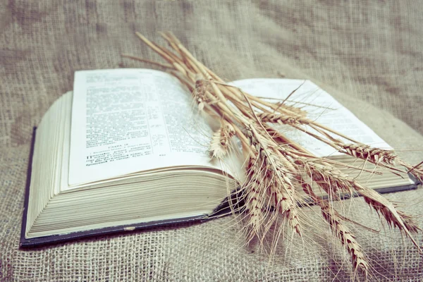 Священная Библия на ткани — стоковое фото