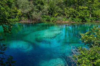 Hırvatistan 'daki Plitvice Gölleri Ulusal Parkı' nın güzel manzarası. Hırvatistan 'ın en eski ve en büyük ulusal parklarından biri. 1979 yılında UNESCO Dünya Mirası 'na eklendi.